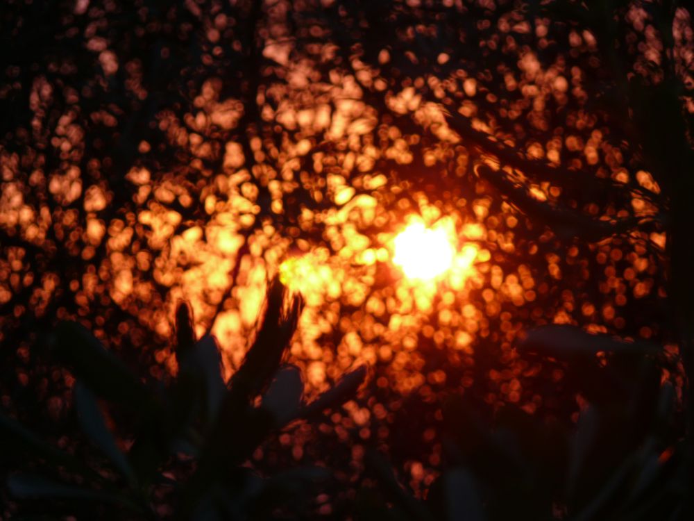 Blurred Sunset