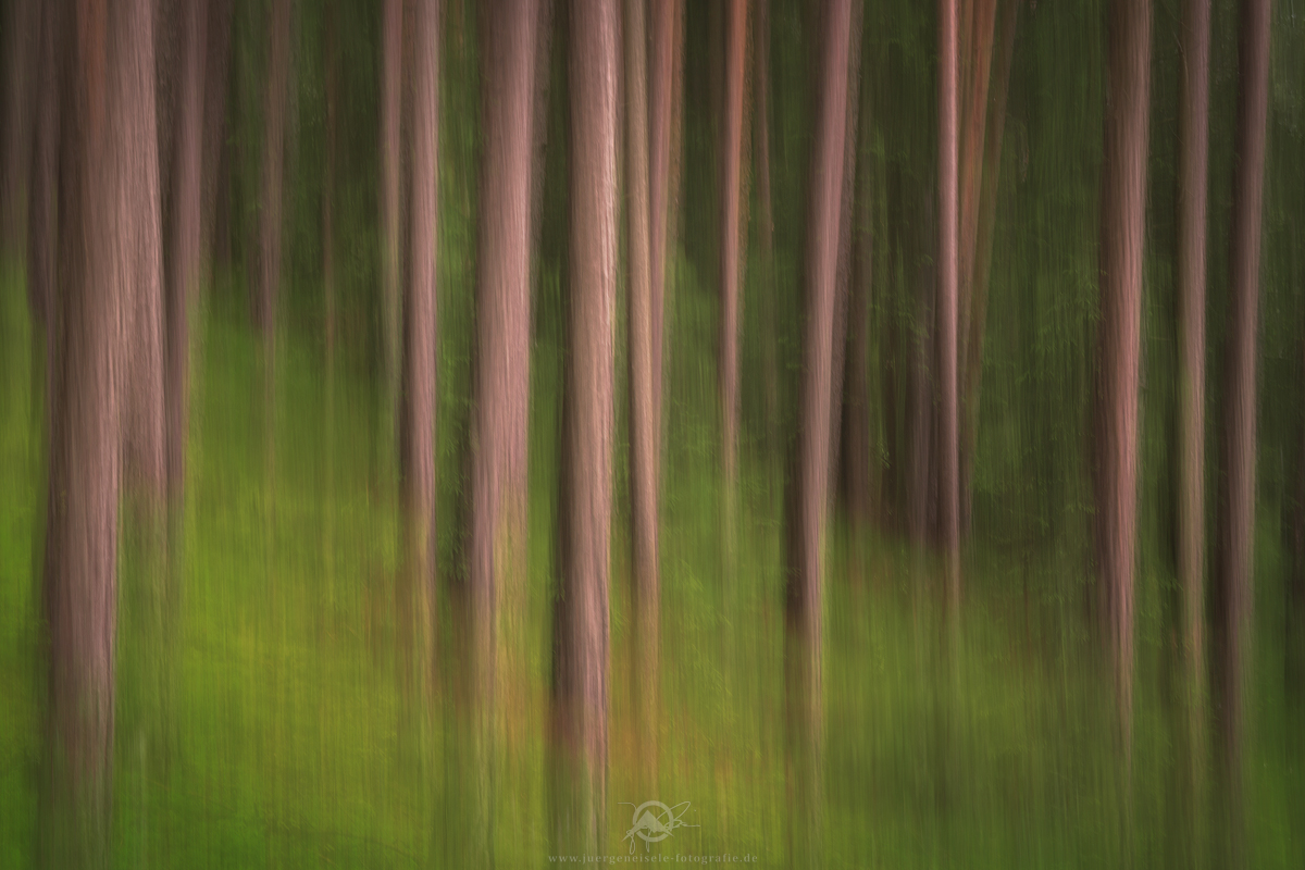 Blurred Trees