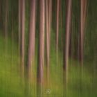 Blurred Trees