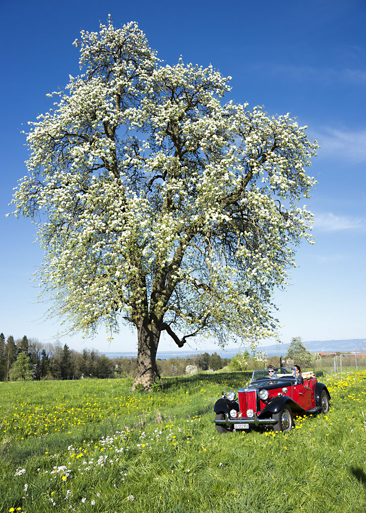 Blustfahrt mit dem MG-Cabrio über Land beim Bodensee