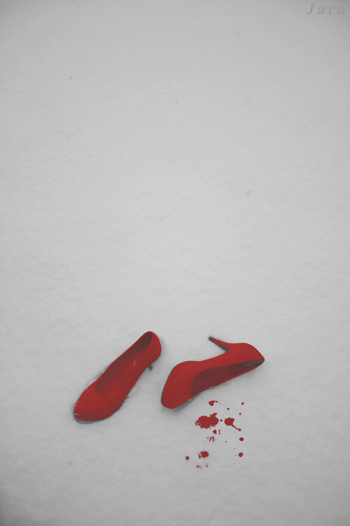Blut im Schnee