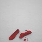 Blut im Schnee