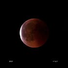 Blut Mond 27.07.2018