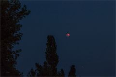 - Blut- Mond- Süchtig -