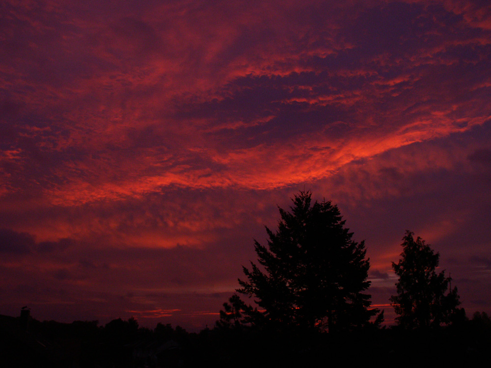 blutender Himmel osnabrück