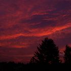 blutender Himmel osnabrück