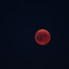 Blutmond