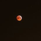 Blutmond #1