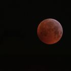 Blutmond 1