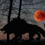 Blutmond