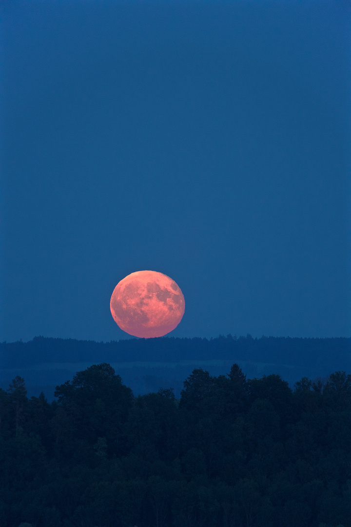 BlutMond