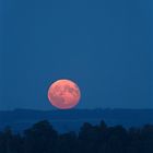 BlutMond