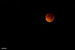 Blutmond 2015