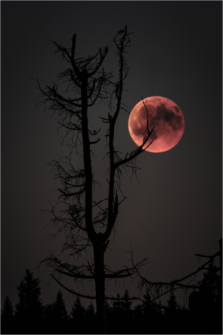 Blutmond 2018