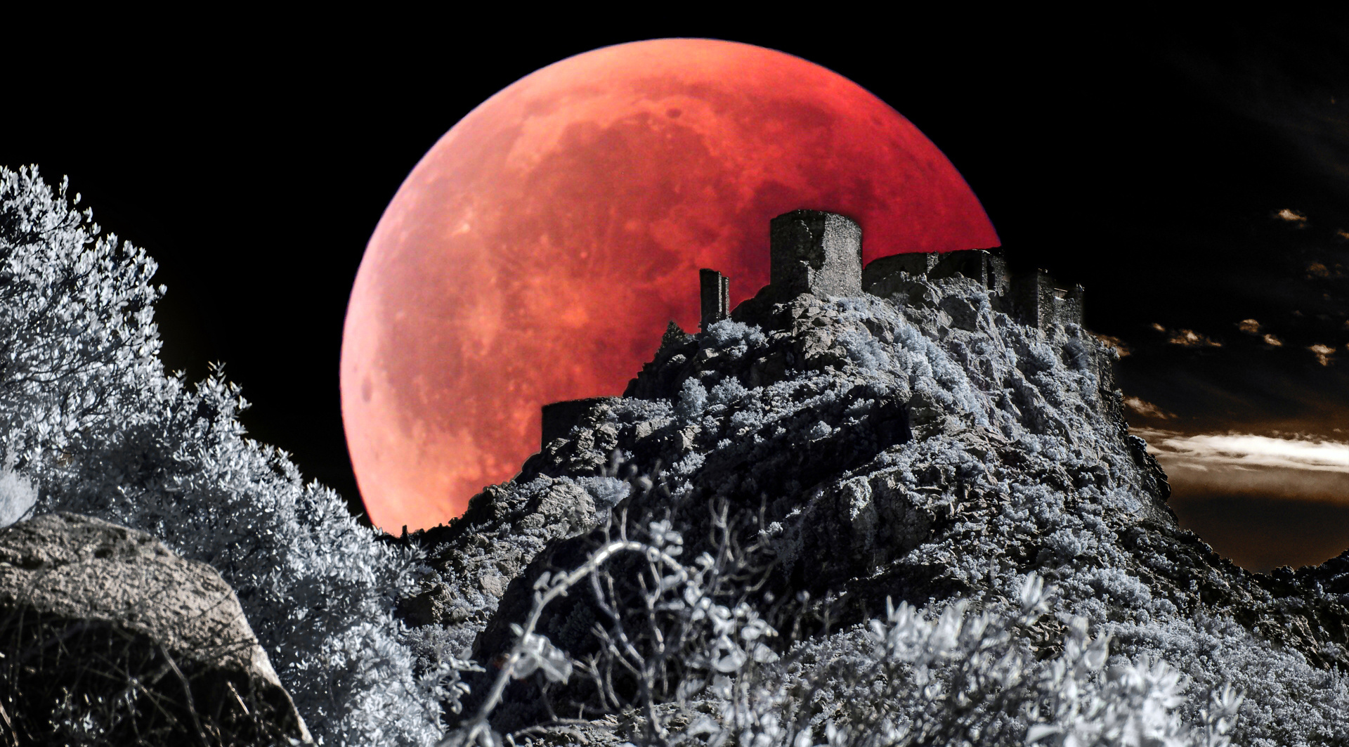 Blutmond .... 