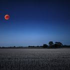 Blutmond