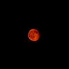 Blutmond