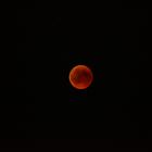 Blutmond