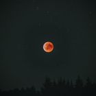 Blutmond