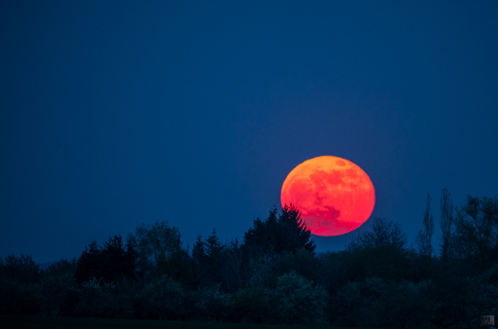 Blutmond