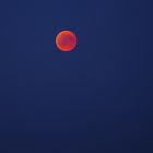 Blutmond