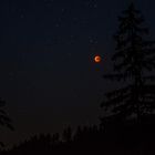 Blutmond