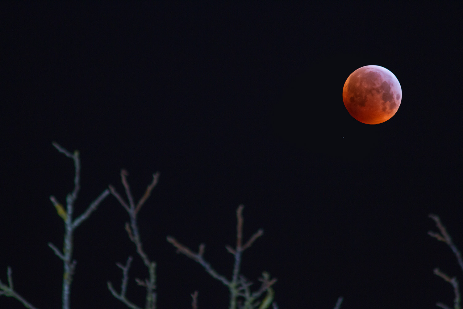 Blutmond am 21. Januar 2019