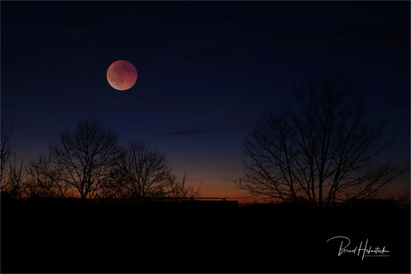 Blutmond am Niederrhein ......