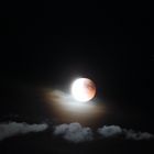 Blutmond... ausgeblutet