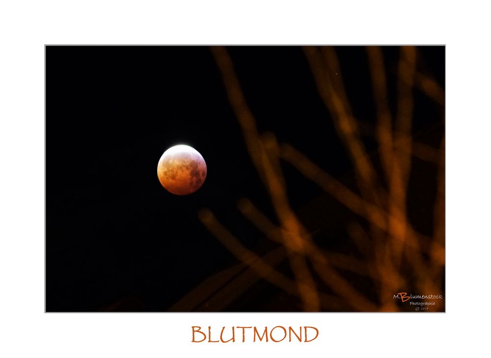 BLUTMOND