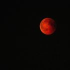 Blutmond