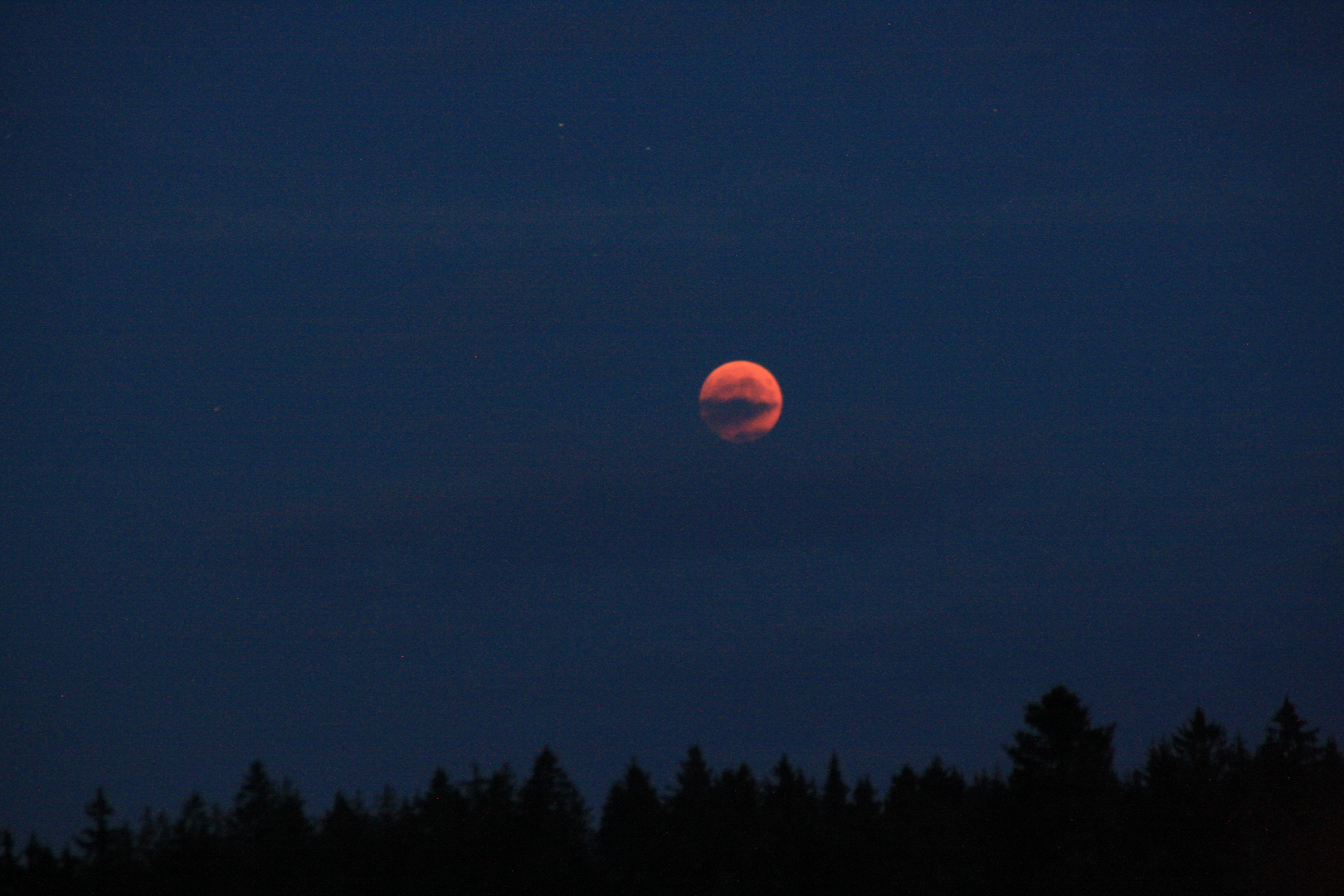 Blutmond im Schwarzwald