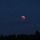 Blutmond im Schwarzwald