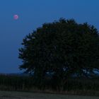 Blutmond Juli 2018