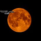 Blutmond Kontrollflug !!!!