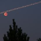 Blutmond mit Flugzeug