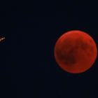 Blutmond mit ISS ?