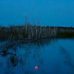 Blutmond - Spiegelung