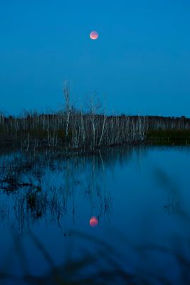 Blutmond - Spiegelung