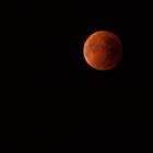 Blutmond über Bamberg zur Mondfinsternis am 28.9.2015