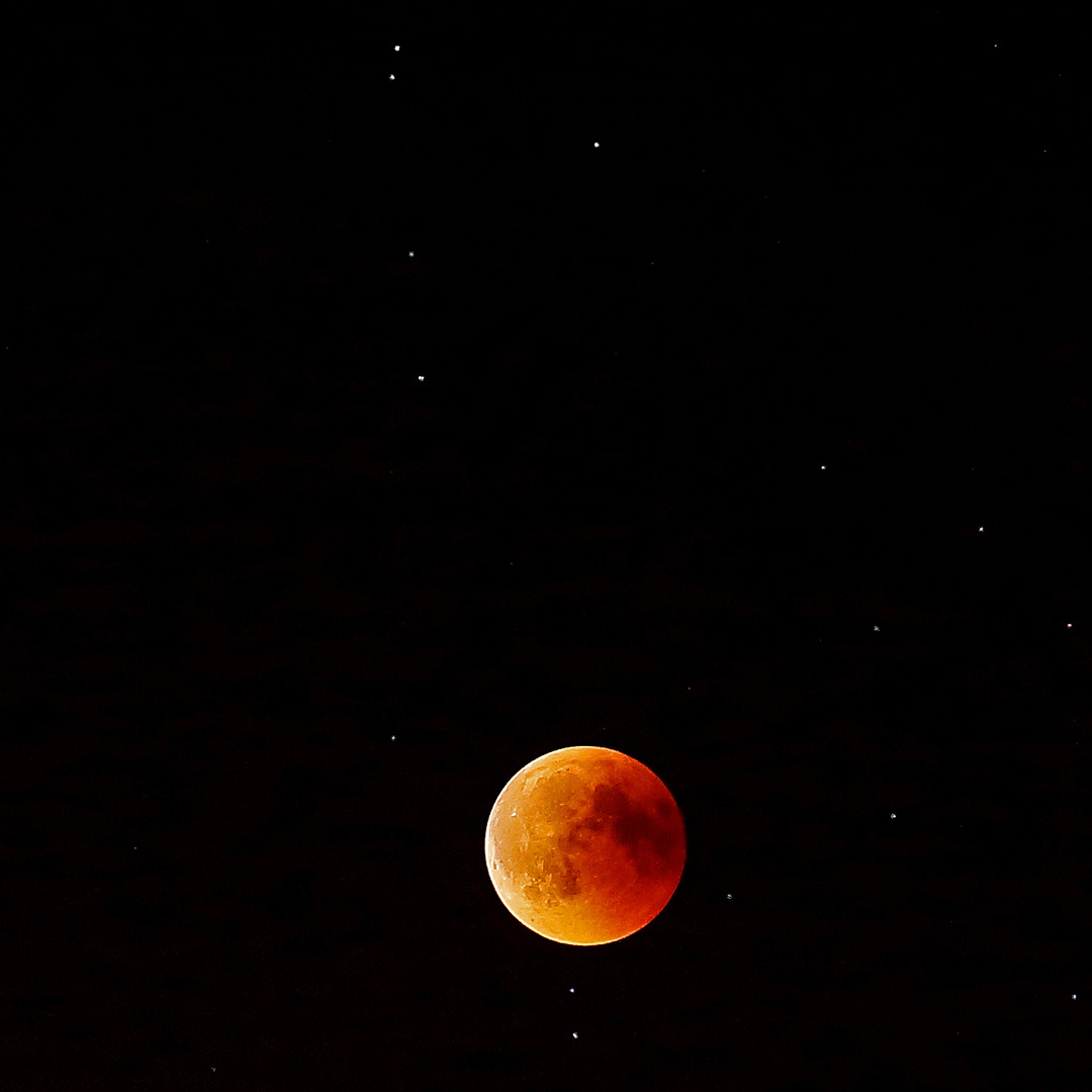 Blutmond über Hamburg