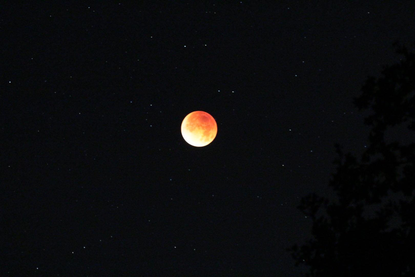 Blutmond über Hamfelde