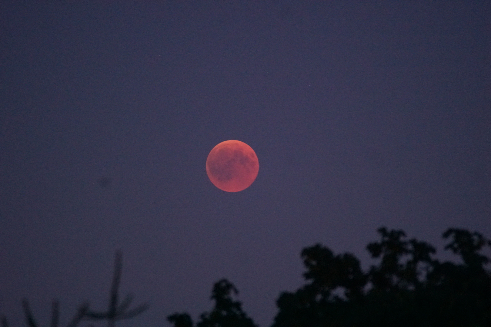 Blutmond über Köln