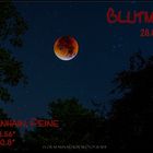 Blutmond über Peine 28.09.2015