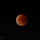 Blutmond vom 28.09.2015