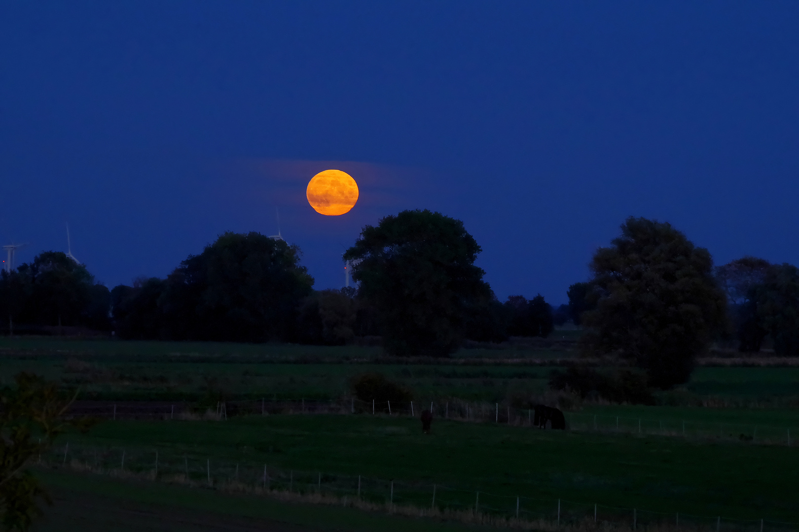 Blutmond zur blauen Stunde