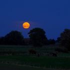 Blutmond zur blauen Stunde