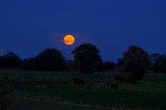 Blutmond zur blauen Stunde