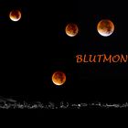 Blutmond.........dabei sein ist alles