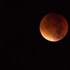 Blutmond/Mondfinsternis